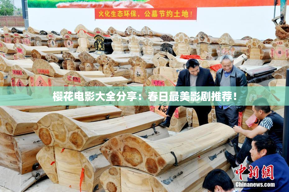 樱花电影大全分享：春日最美影剧推荐！