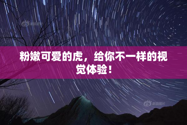 粉嫩可爱的虎，给你不一样的视觉体验！