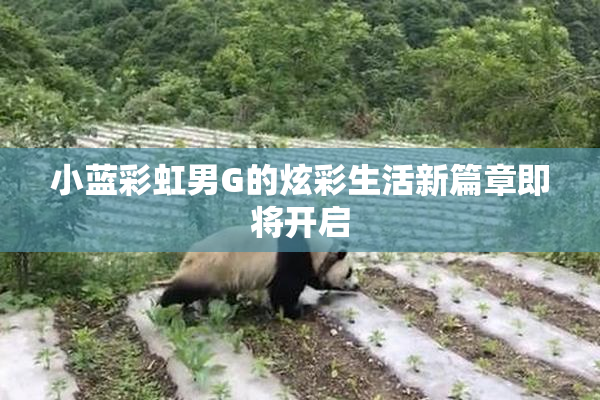 小蓝彩虹男G的炫彩生活新篇章即将开启