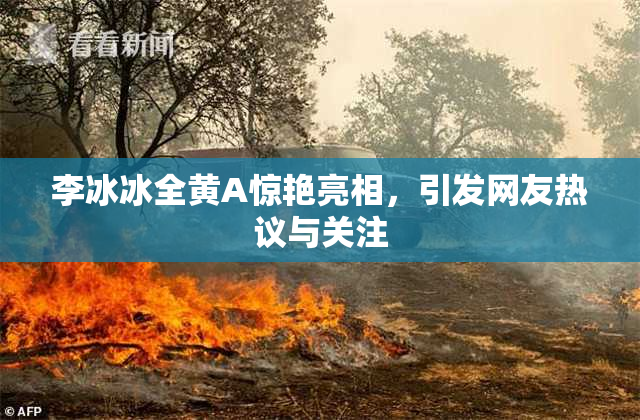 李冰冰全黄A惊艳亮相，引发网友热议与关注