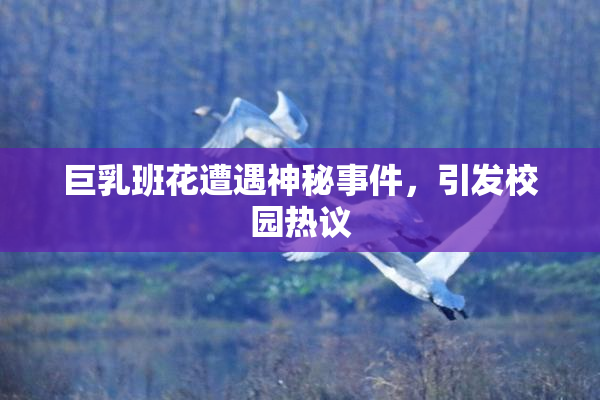 巨乳班花遭遇神秘事件，引发校园热议