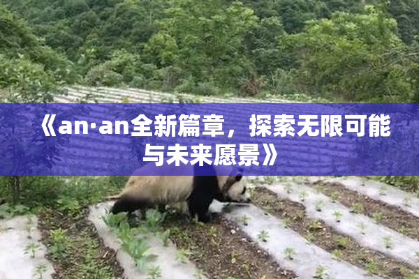 《an·an全新篇章，探索无限可能与未来愿景》