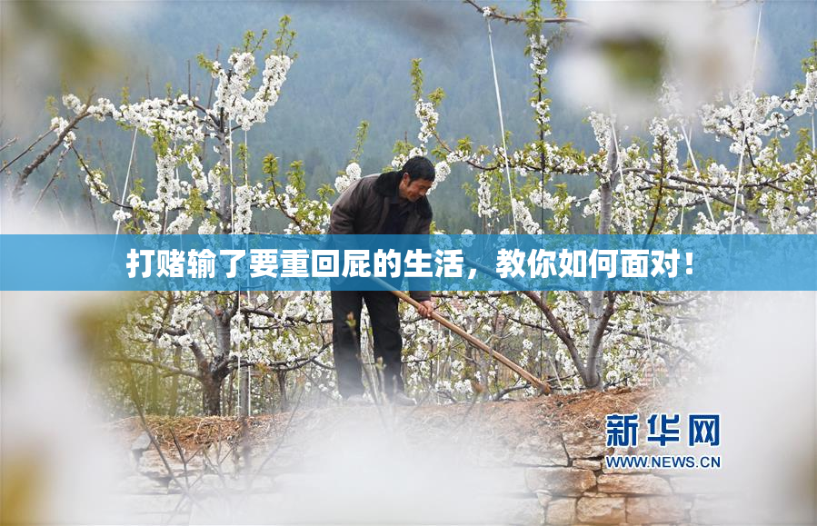 打赌输了要重回屁的生活，教你如何面对！
