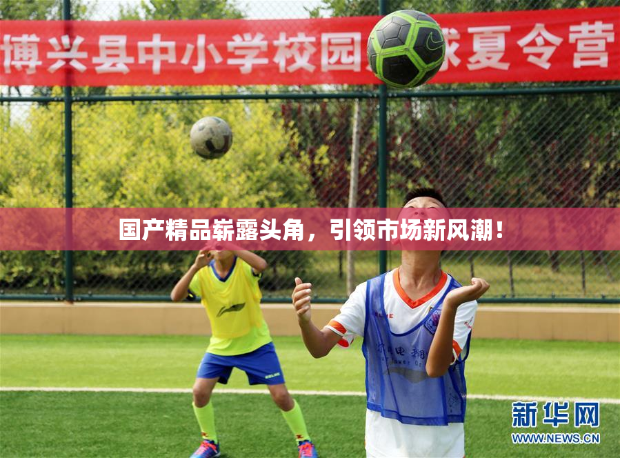 国产精品崭露头角，引领市场新风潮！