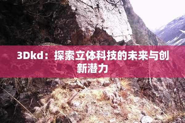 3Dkd：探索立体科技的未来与创新潜力