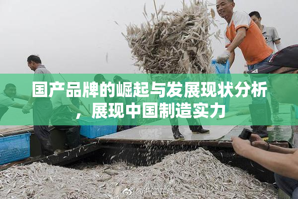 国产品牌的崛起与发展现状分析，展现中国制造实力