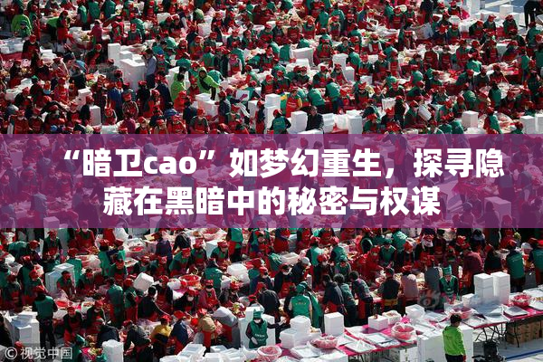 “暗卫cao”如梦幻重生，探寻隐藏在黑暗中的秘密与权谋