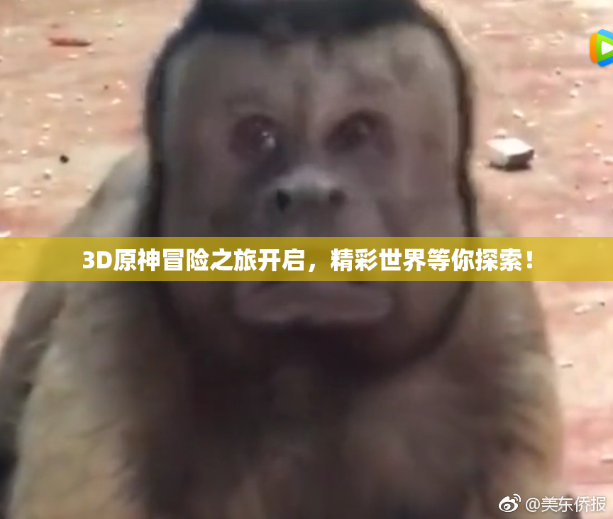 3D原神冒险之旅开启，精彩世界等你探索！