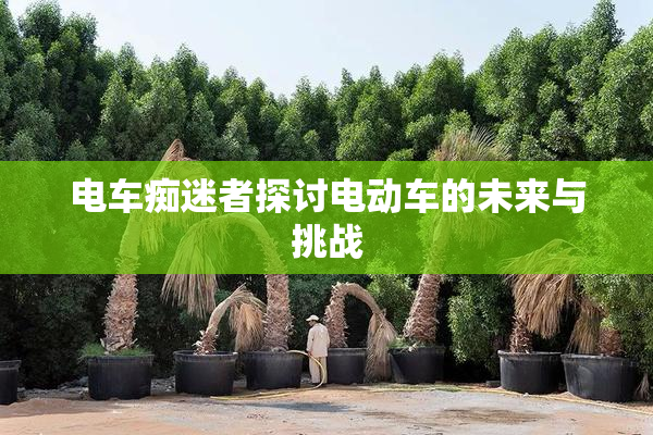 电车痴迷者探讨电动车的未来与挑战