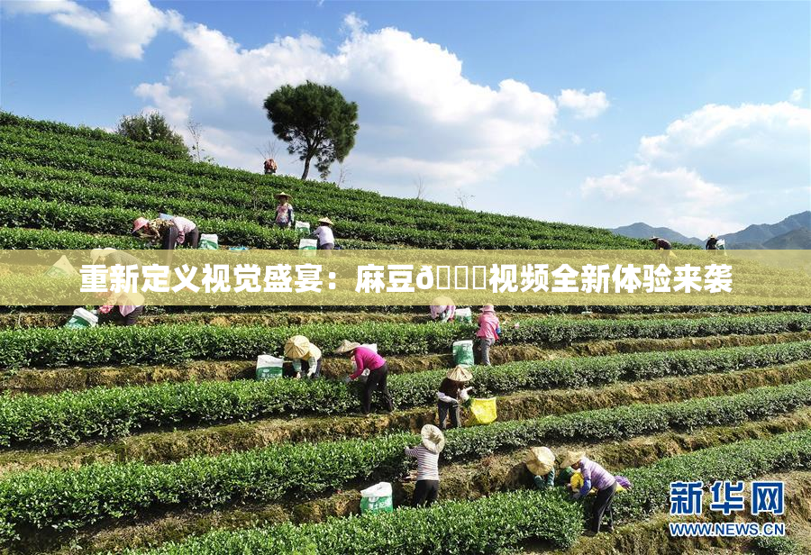 重新定义视觉盛宴：麻豆🔞视频全新体验来袭