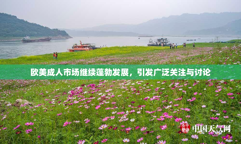 欧美成人市场继续蓬勃发展，引发广泛关注与讨论