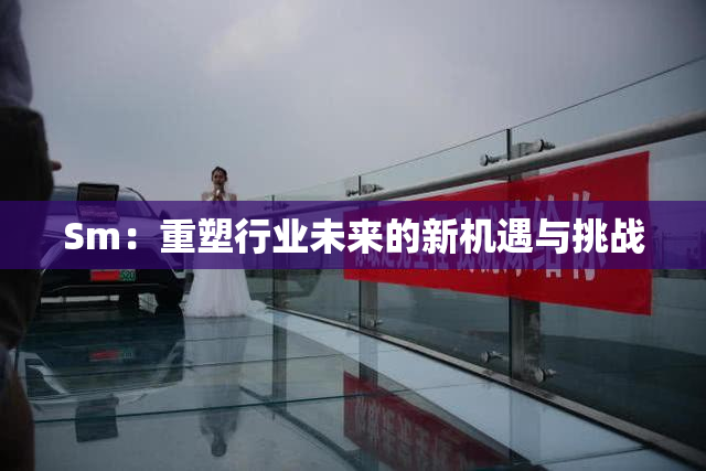 Sm：重塑行业未来的新机遇与挑战