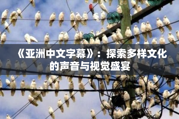《亚洲中文字幕》：探索多样文化的声音与视觉盛宴