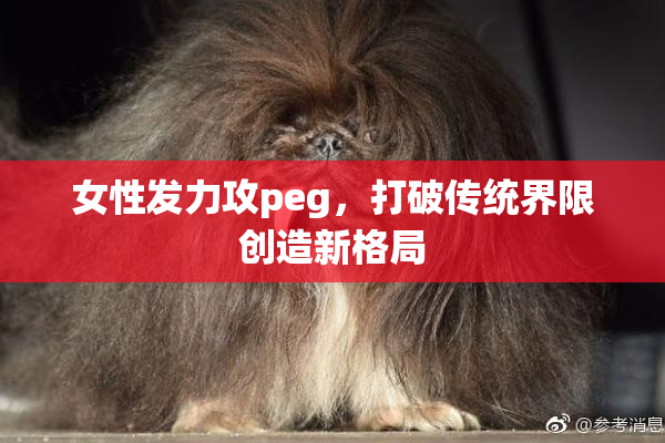 女性发力攻peg，打破传统界限创造新格局