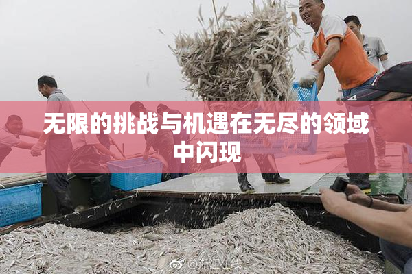 无限的挑战与机遇在无尽的领域中闪现
