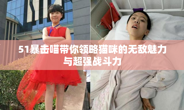 51暴击喵带你领略猫咪的无敌魅力与超强战斗力