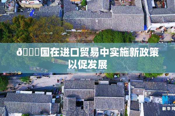 🔞国在进口贸易中实施新政策以促发展