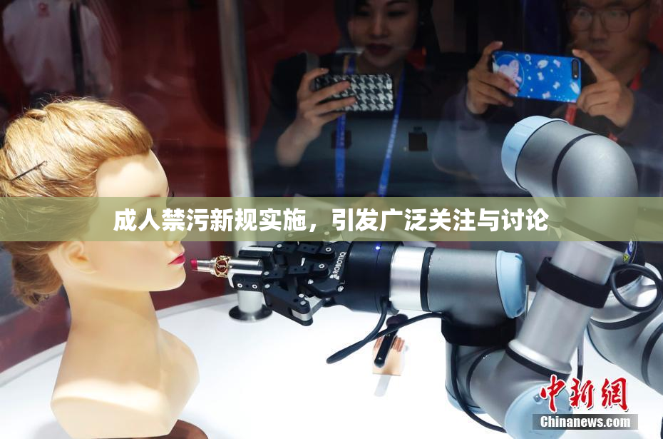 成人禁污新规实施，引发广泛关注与讨论