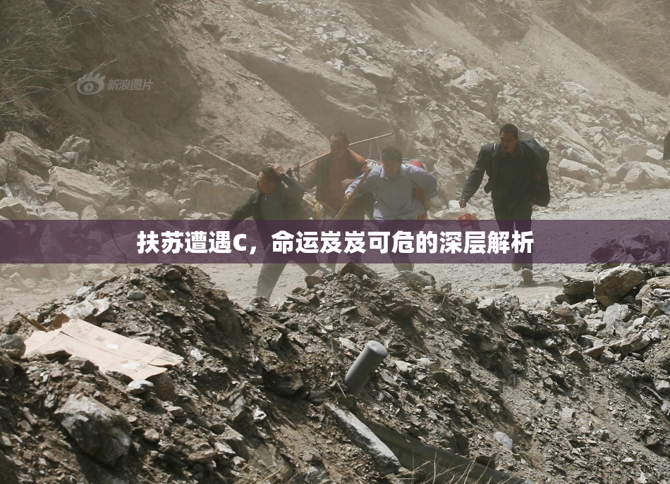 扶苏遭遇C，命运岌岌可危的深层解析