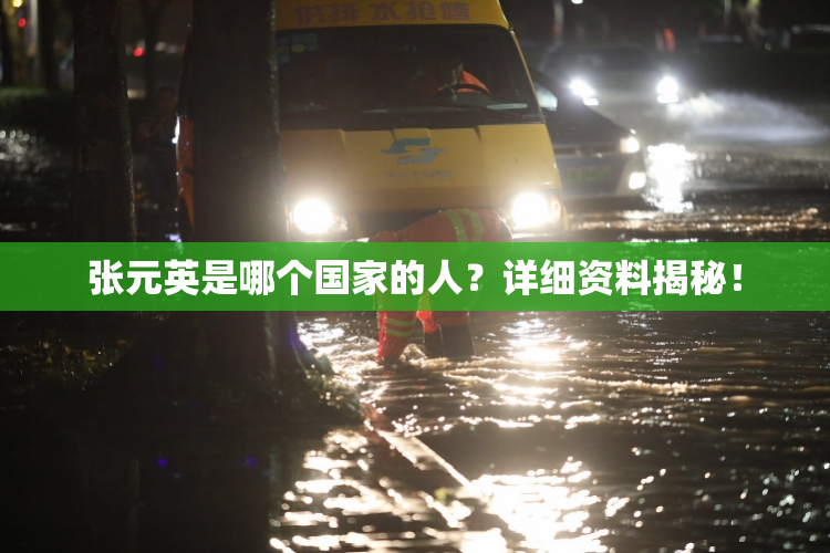 张元英是哪个国家的人？详细资料揭秘！
