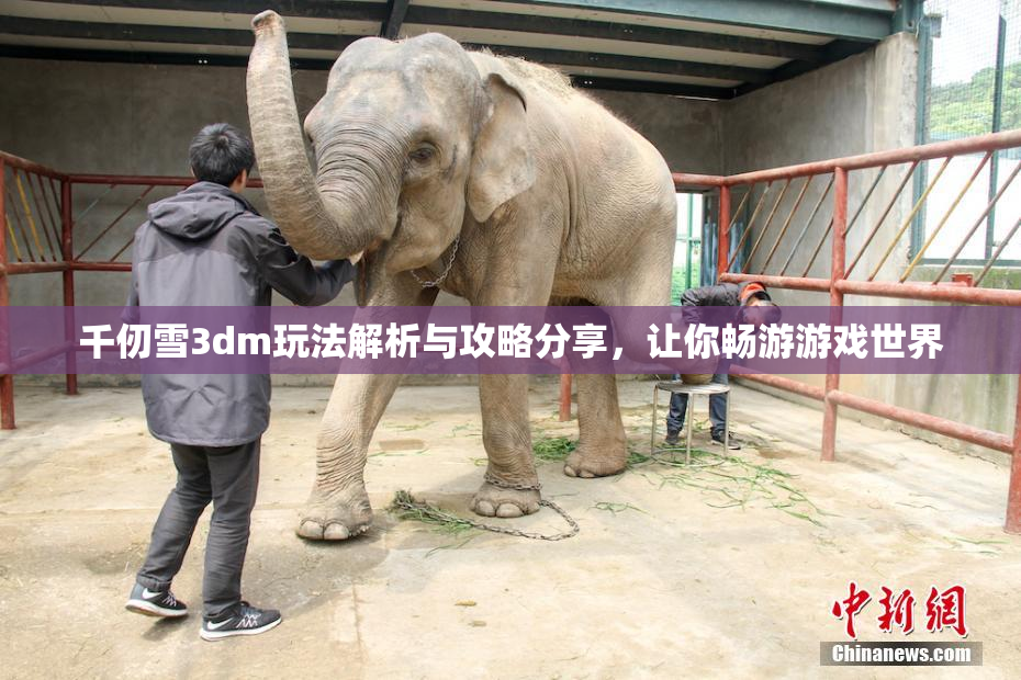 千仞雪3dm玩法解析与攻略分享，让你畅游游戏世界