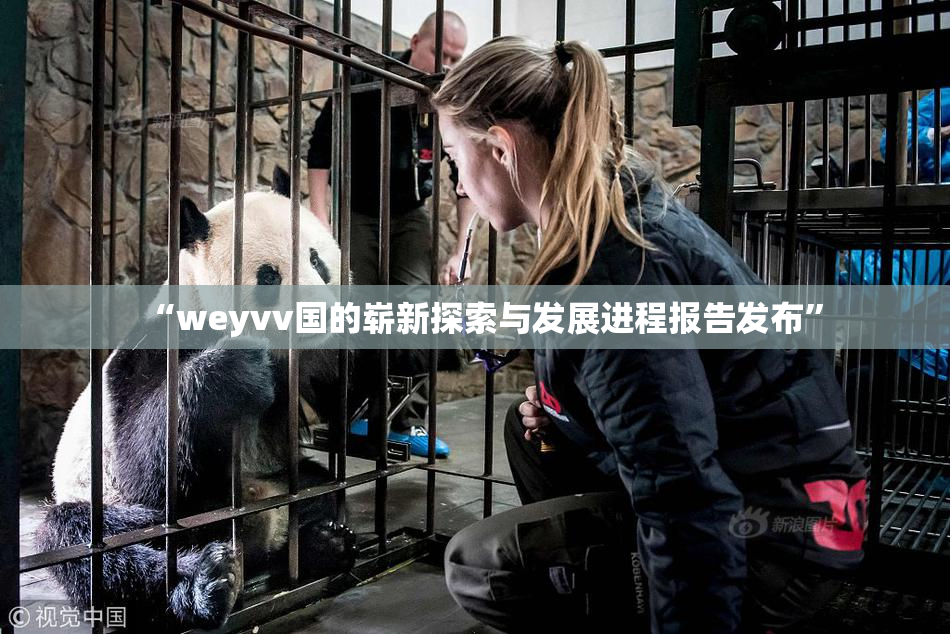 “weyvv国的崭新探索与发展进程报告发布”