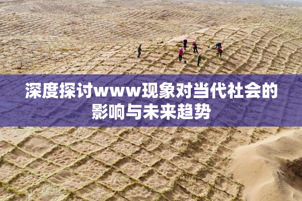 深度探讨www现象对当代社会的影响与未来趋势