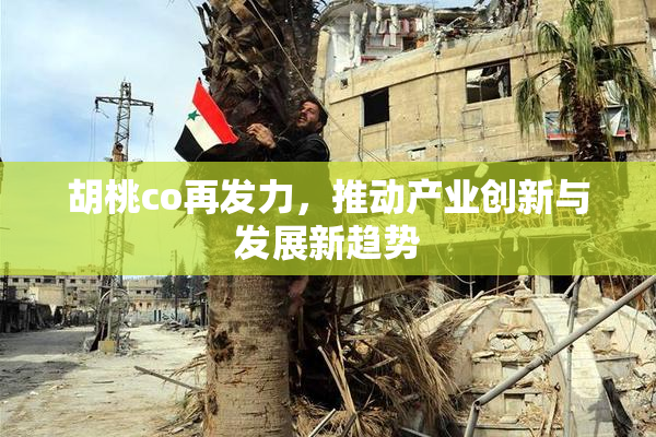 胡桃co再发力，推动产业创新与发展新趋势