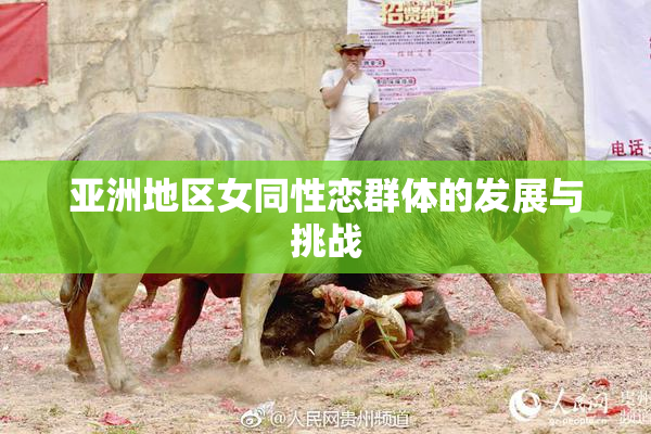 亚洲地区女同性恋群体的发展与挑战
