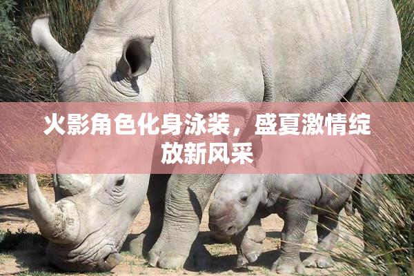 火影角色化身泳装，盛夏激情绽放新风采