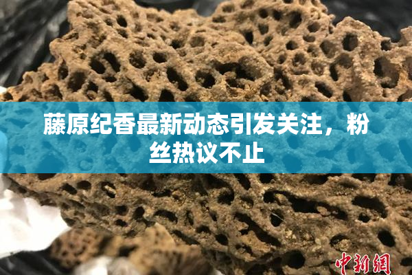 藤原纪香最新动态引发关注，粉丝热议不止