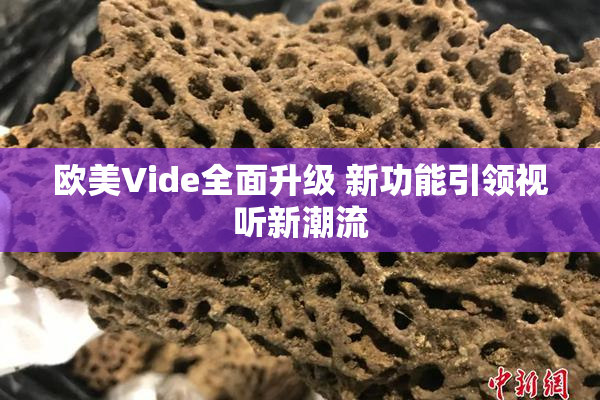 欧美Vide全面升级 新功能引领视听新潮流