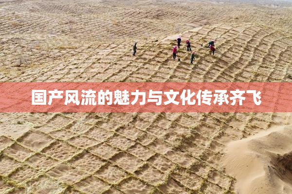 国产风流的魅力与文化传承齐飞