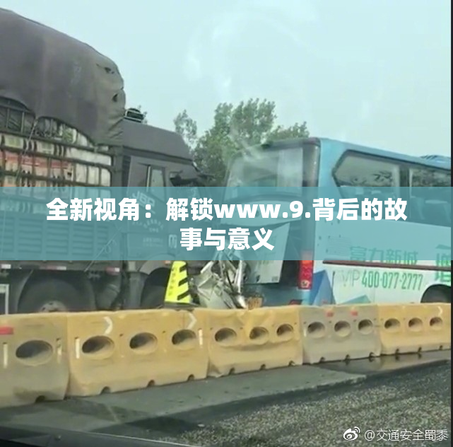 全新视角：解锁www.9.背后的故事与意义