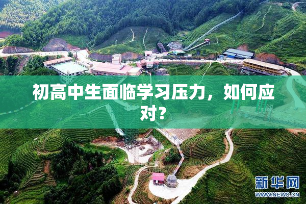 初高中生面临学习压力，如何应对？