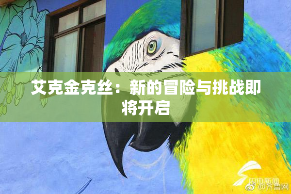 艾克金克丝：新的冒险与挑战即将开启