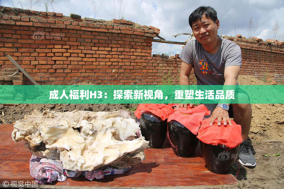 成人福利H3：探索新视角，重塑生活品质