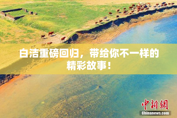白洁重磅回归，带给你不一样的精彩故事！