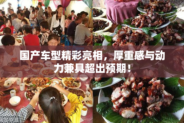 国产车型精彩亮相，厚重感与动力兼具超出预期！