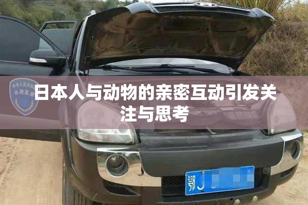 日本人与动物的亲密互动引发关注与思考