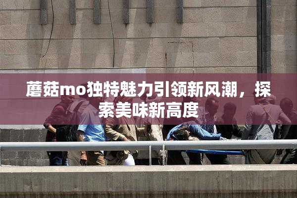 蘑菇mo独特魅力引领新风潮，探索美味新高度