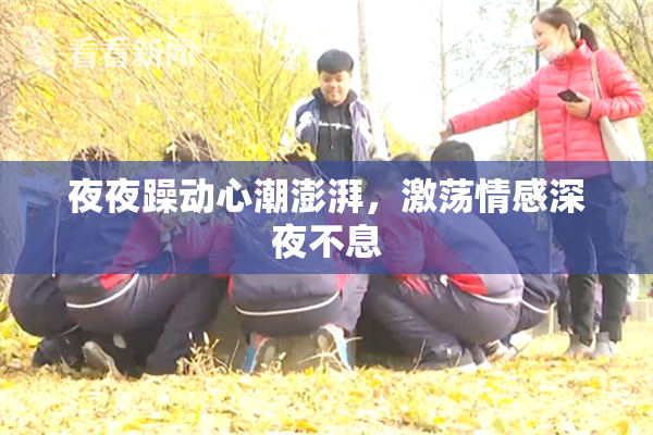 夜夜躁动心潮澎湃，激荡情感深夜不息
