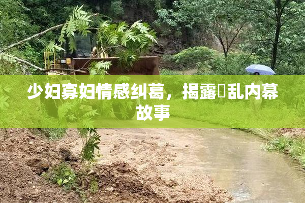 少妇寡妇情感纠葛，揭露婬乱内幕故事