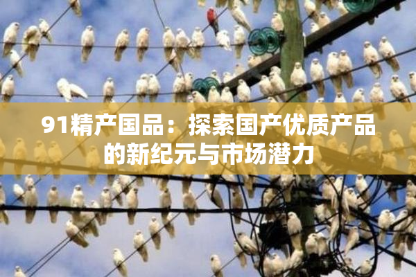 91精产国品：探索国产优质产品的新纪元与市场潜力
