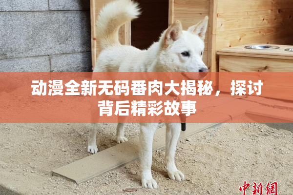 动漫全新无码番肉大揭秘，探讨背后精彩故事
