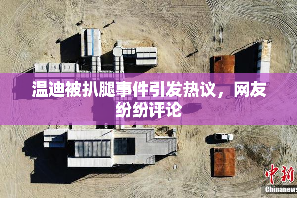 温迪被扒腿事件引发热议，网友纷纷评论