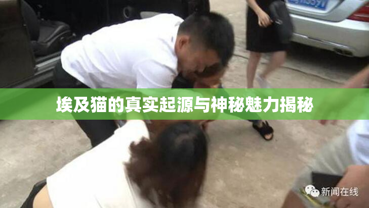 埃及猫的真实起源与神秘魅力揭秘