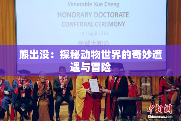 熊出没：探秘动物世界的奇妙遭遇与冒险