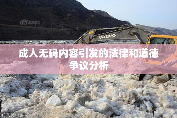 成人无码内容引发的法律和道德争议分析