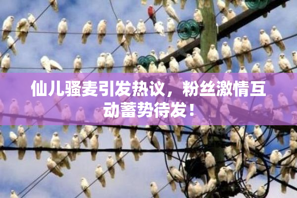 仙儿骚麦引发热议，粉丝激情互动蓄势待发！